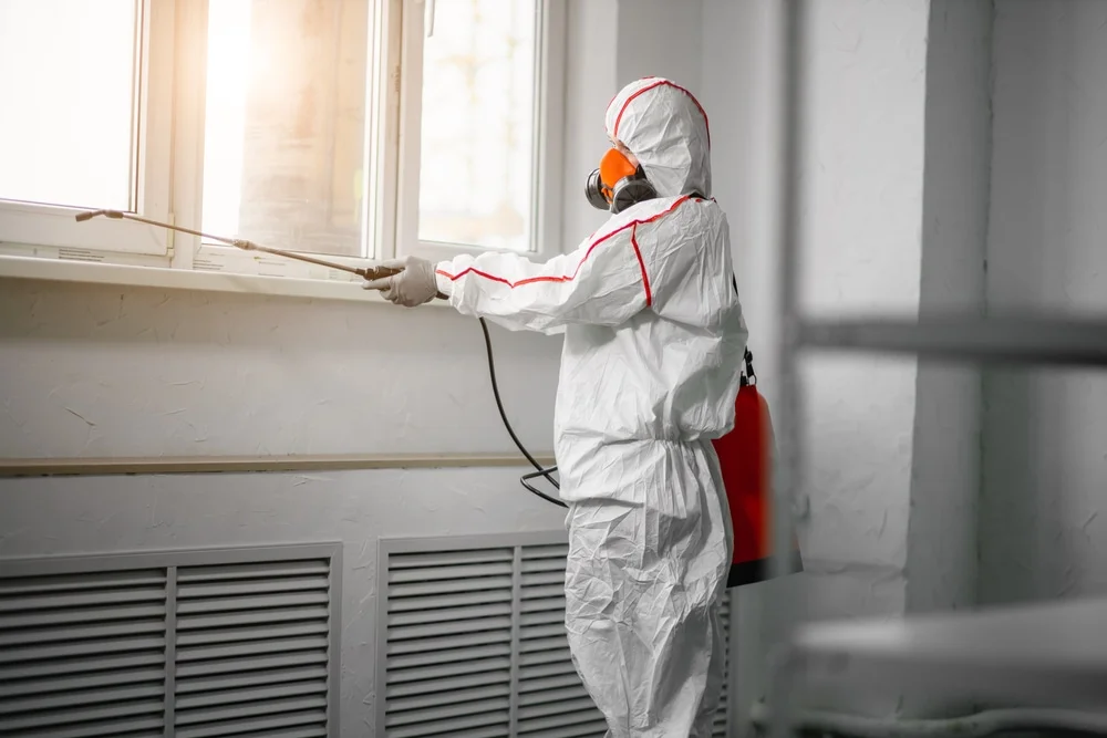 Professional mold remediation services in Andover, CT